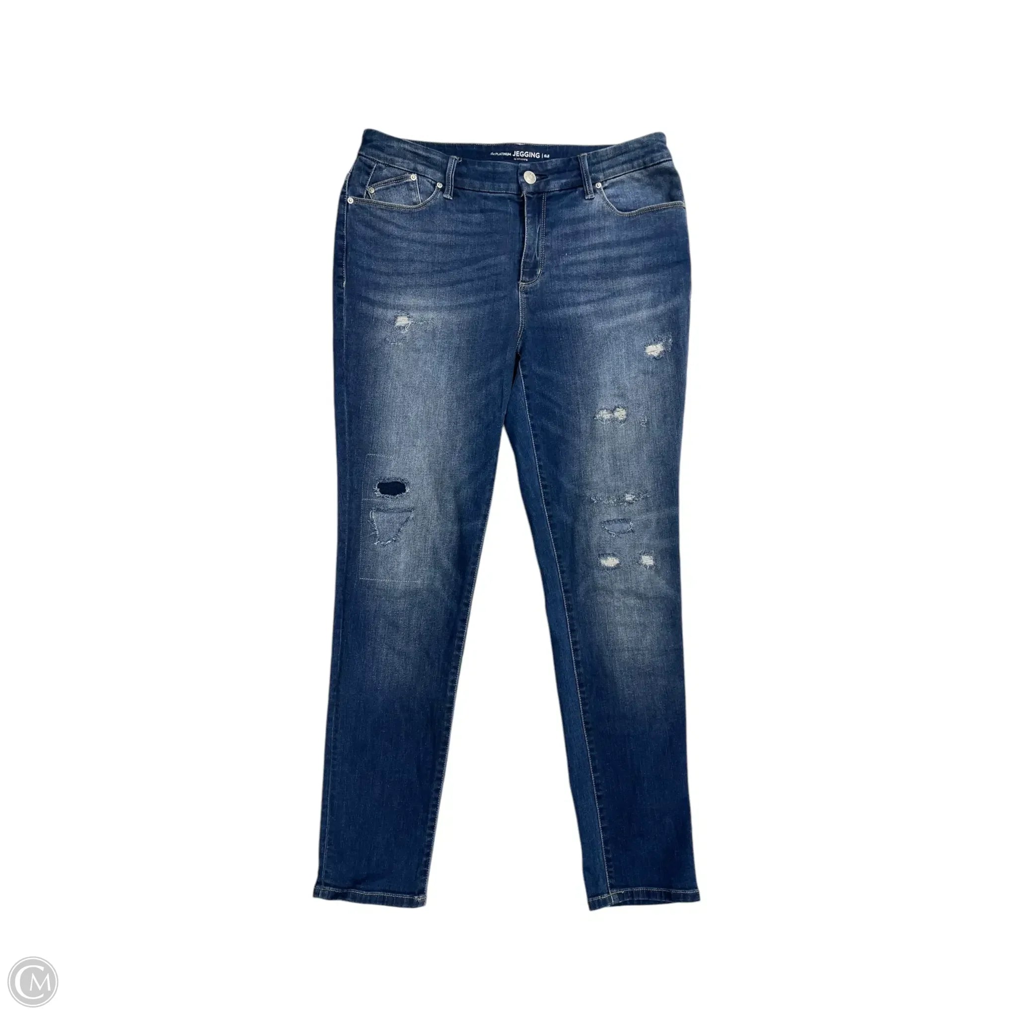 Winter Men's JeansJeans Skinny By Chicos In Blue Denim, Size: M