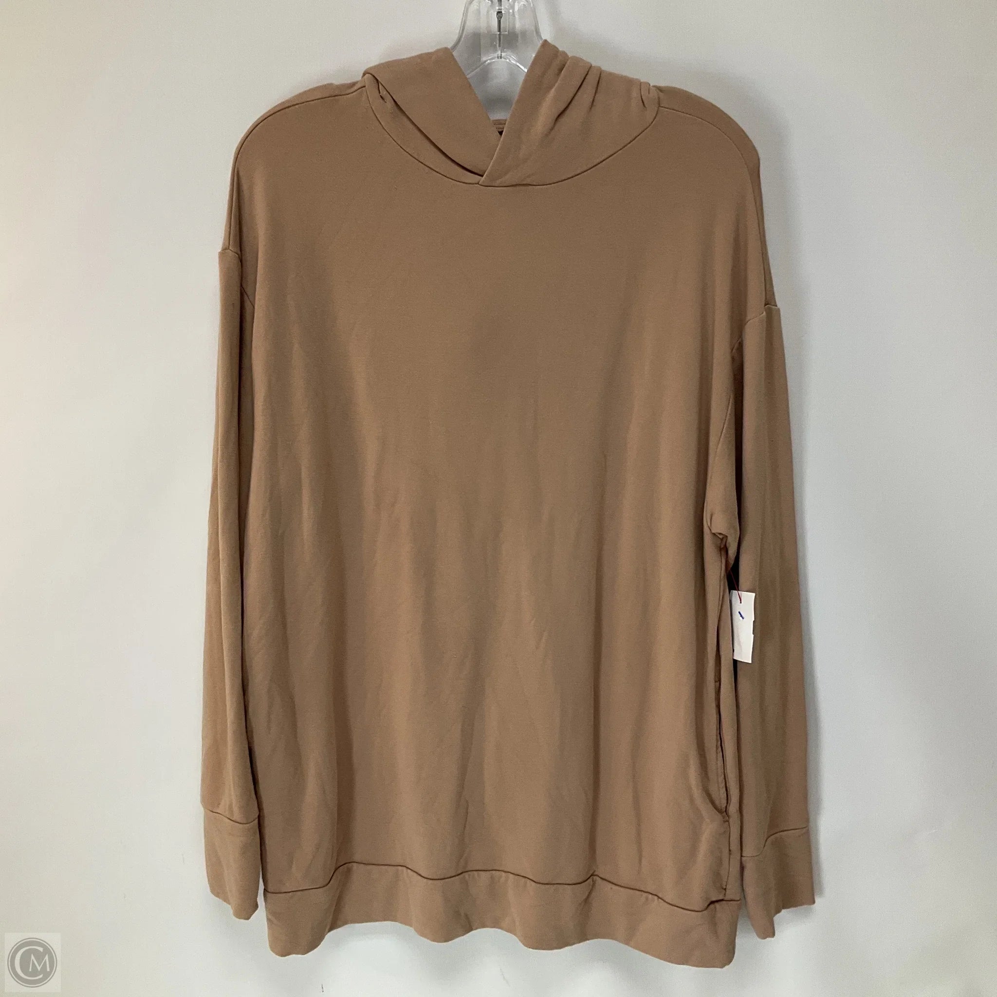 Comfortable Men's Fleece HoodiesSweatshirt Hoodie By Aerie In Tan, Size: S